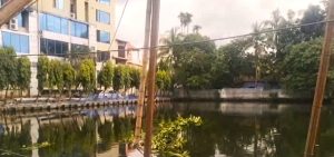 হবিগঞ্জ শহরের বানিজ্যিক এলাকার পুকুরে ওয়াকওয়ে নির্মাণ করছে হবিগঞ্জ পৌরসভা