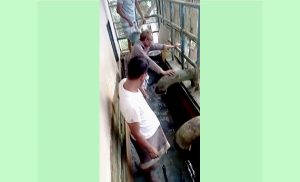 পৌরসভার উৎপাদক নলকুপে ত্রুটি ॥পানি দেয়া হচ্ছে ১ বেলা ॥সমাধানের উদ্যোগ নেয়া হয়েছে ॥