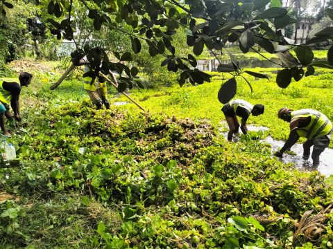 ডেঙ্গু প্রতিরোধে হবিগঞ্জ শহরের বিকেজিসি সরকারী বালিকা উচ্চ বিদ্যালয়ের পুকুরে পরিচ্ছন্নতা অভিযান অব্যাহত রেখেছে হবিগঞ্জ পৌরসভা