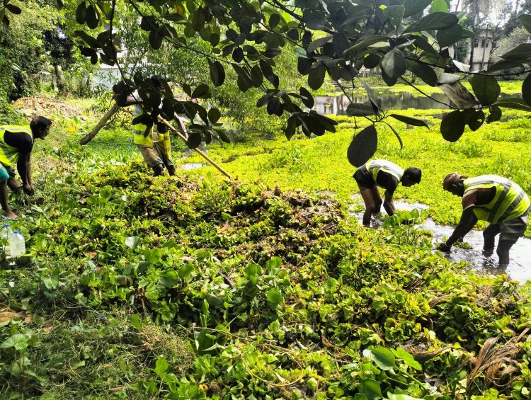 ডেঙ্গু প্রতিরোধে হবিগঞ্জ শহরের বিকেজিসি সরকারী বালিকা উচ্চ বিদ্যালয়ের পুকুরে পরিচ্ছন্নতা অভিযান অব্যাহত রেখেছে হবিগঞ্জ পৌরসভা